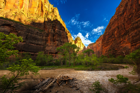 HIKE IN ZION