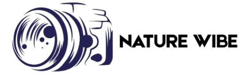 Nature Wibe – Explore, Experience, Inspire